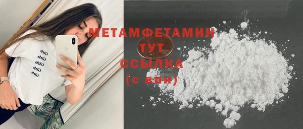 шишки Абаза