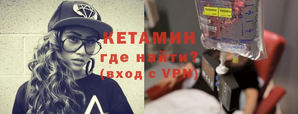 шишки Абаза