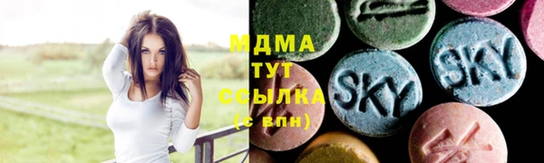 шишки Абаза