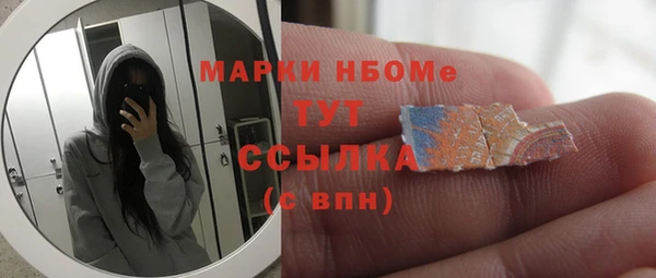 шишки Абаза