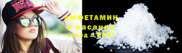 шишки Абаза