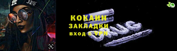 шишки Абаза