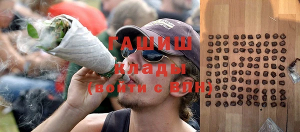 шишки Магас