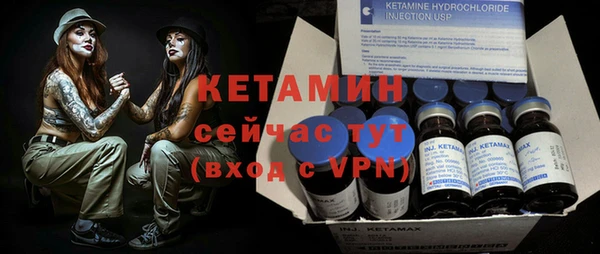 шишки Магас